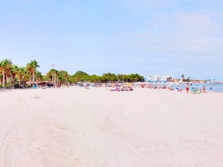 d65b370a88040565b370a880441 thumbnail
