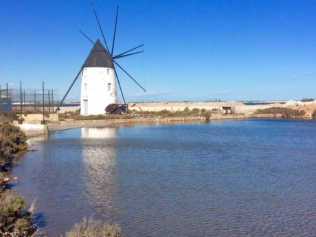 o_1hm9t5f4k14vc1qmc1mi011taovk8i thumbnail