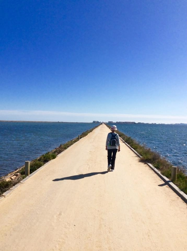 o_1hm9t5f4kbf71g0b1eatnfd1sod8n photo