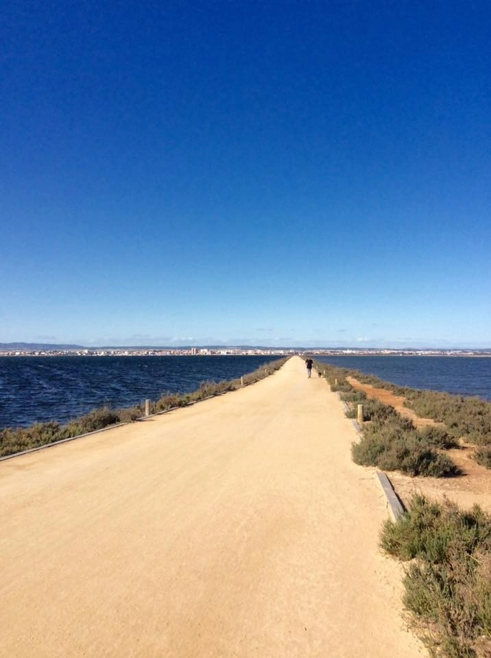 o_1hm9t5f4ko401uj61cd148d1hqu8m photo