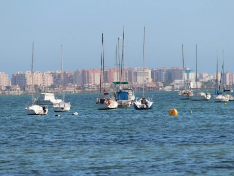 o_1hm9t63ju16l514eda5j1hl4c3a95 thumbnail