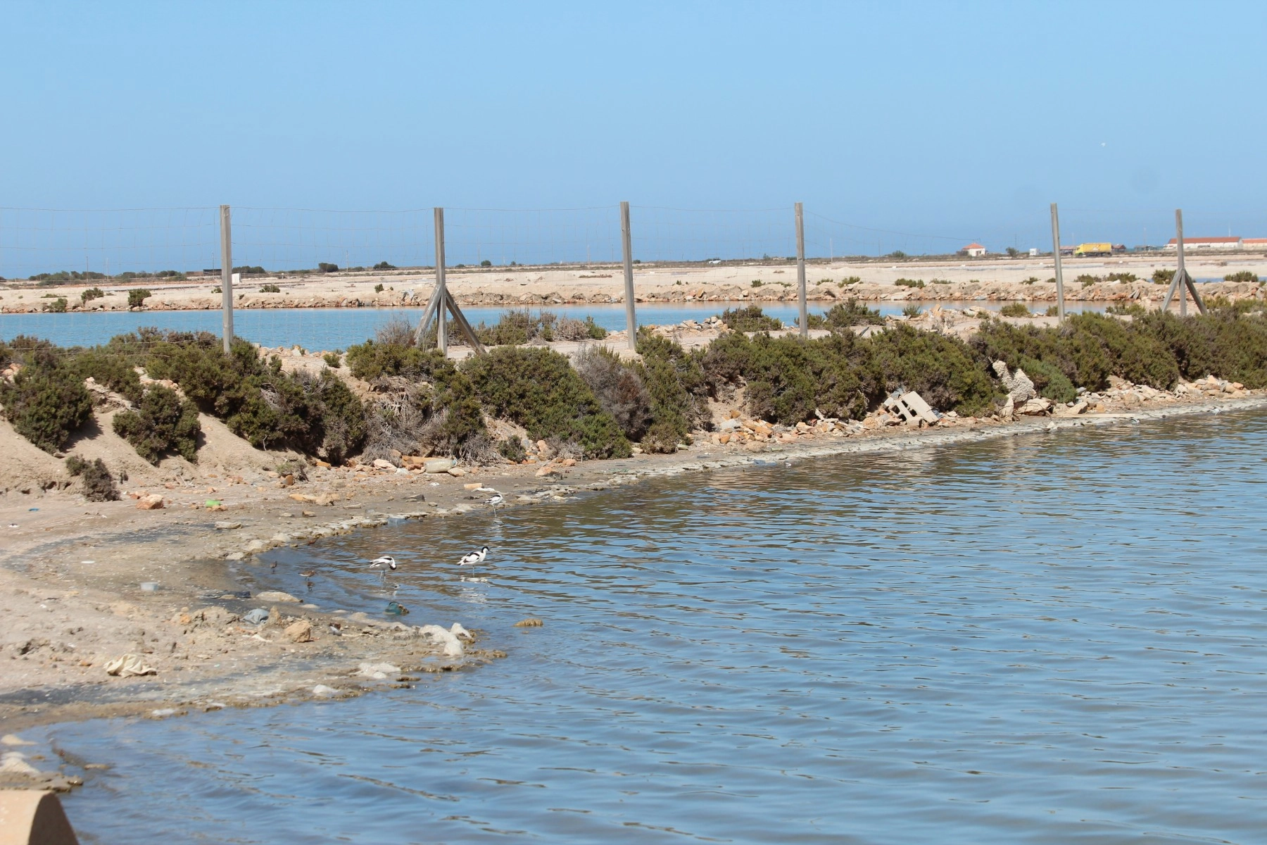 o_1hm9t7ett116f1o3rpdv15uc2859m photo