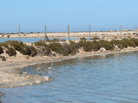 o_1hm9t7ett116f1o3rpdv15uc2859m thumbnail