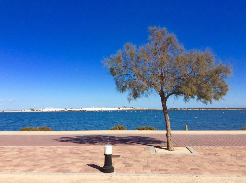 d65c7a629a060965c7a629a0644 photo