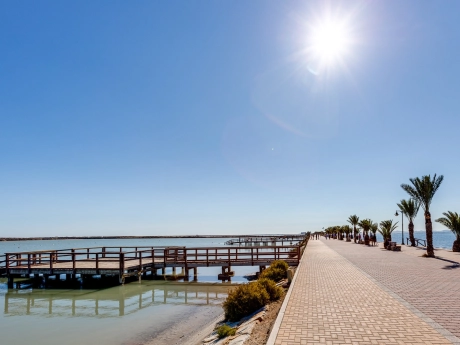 o_1hrjh93sm1qsi15bgsrtana1vh82u thumbnail