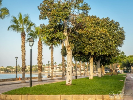 d66951b2ccf70866951b2ccf750 thumbnail