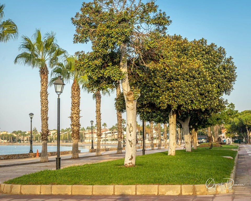 d6695243c1dddb6695243c1de19 photo