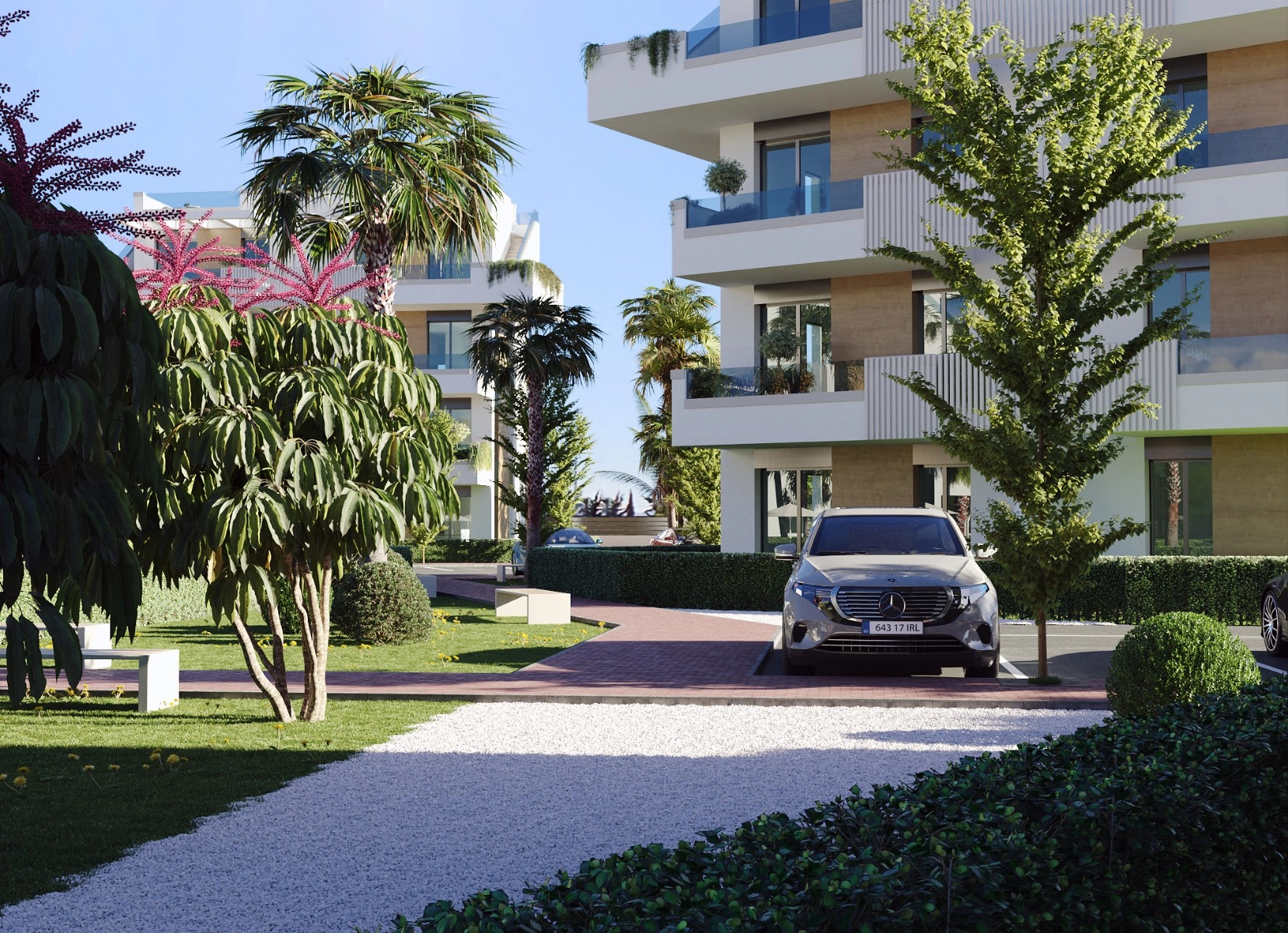 d689c8766a82ec689c8766a835a photo