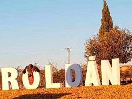 o_1j3601ka81qa35df8j91jjdavb6a thumbnail