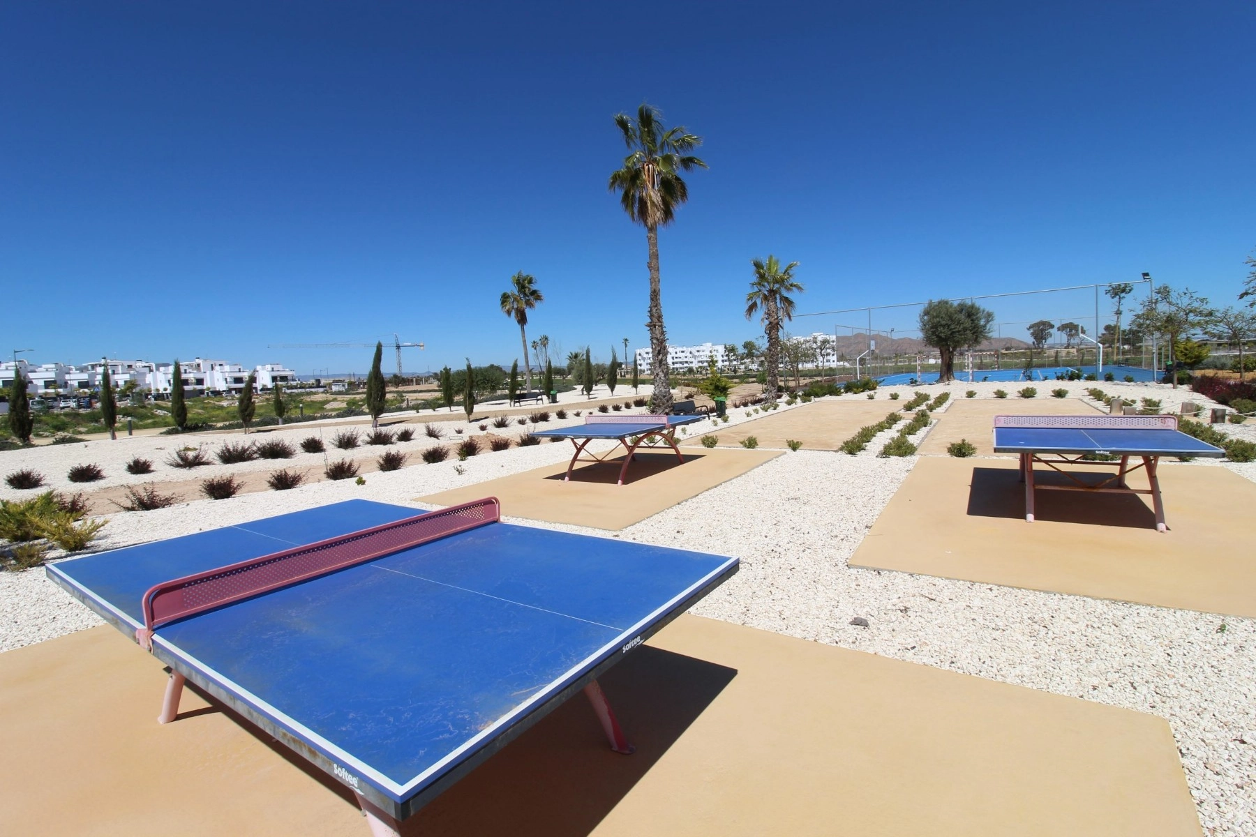 d68bea3876a02068bea3876a068 photo