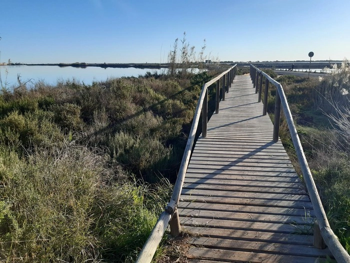 o_1j6ifp0aphfd171b165esjf11iq56 photo