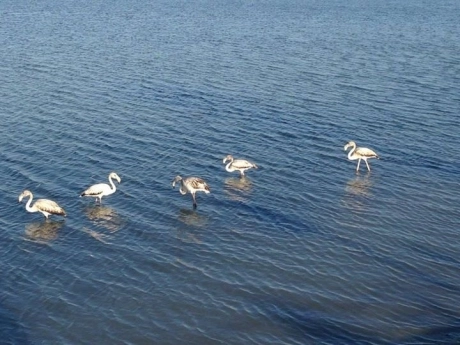 d6900c6ca802576900c6ca8029f thumbnail