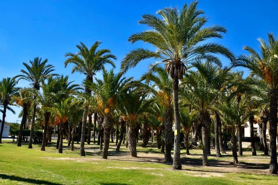 o_1jar5835h8m9185a16k56281oc81n photo