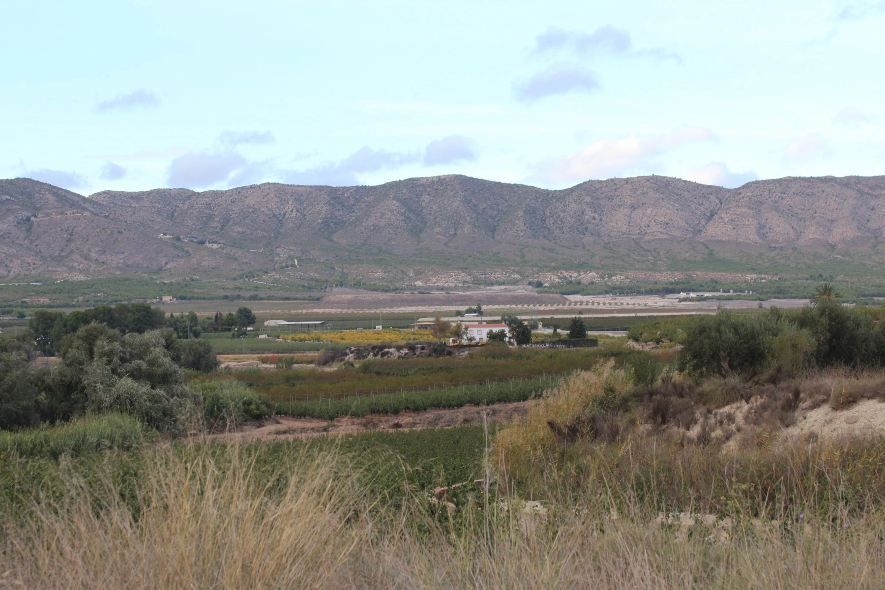 o_1jageg2jq192o1adql1npglfil1s photo