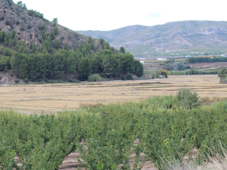 o_1jageg2jqm221kad8qk1lef5ar1r thumbnail