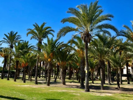 property 6551 cover photo