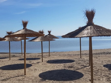 o_1jar43h0p2gpkqhic4mdg1u361n thumbnail