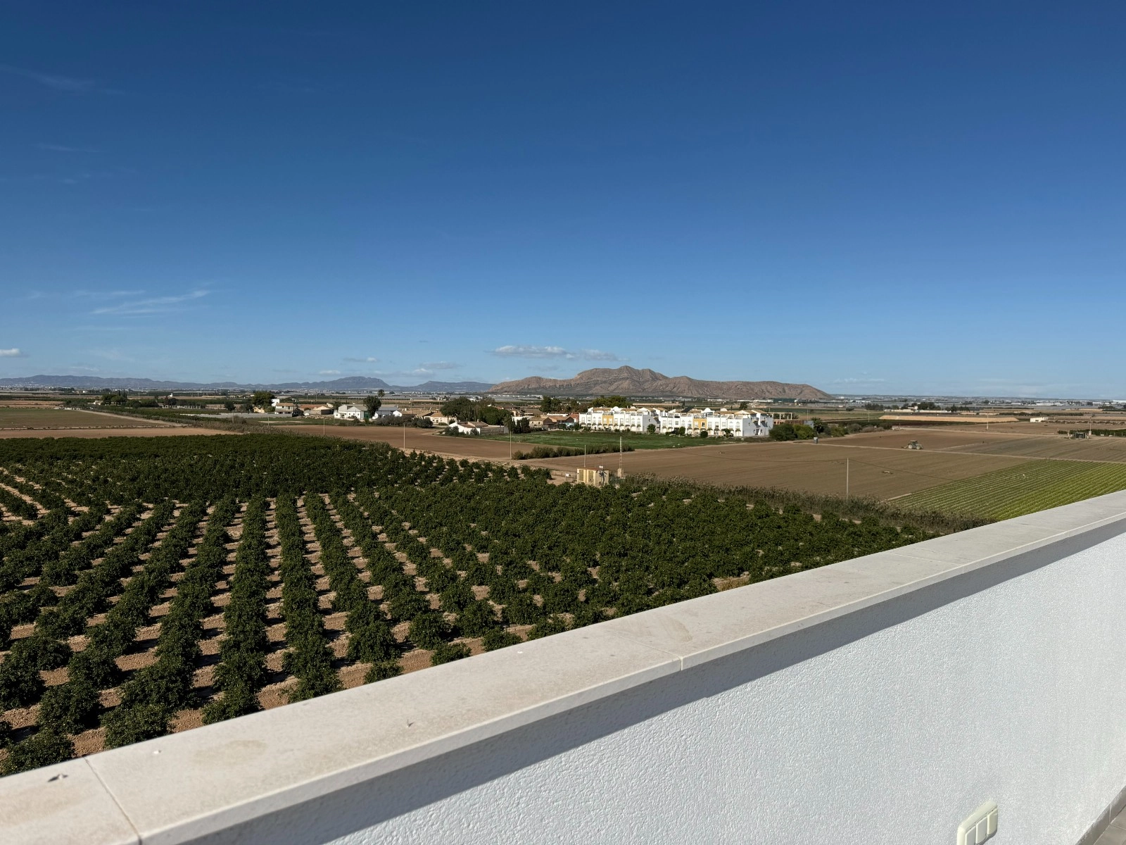 o_1j9q9ht541nsnkoqahl1g96j5c2o photo