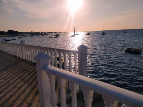 d69788088892cc697880888931a thumbnail