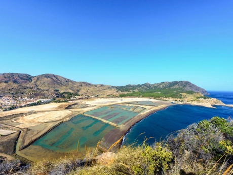 o_1jiabh7ad1cnsq534polkrd729 thumbnail