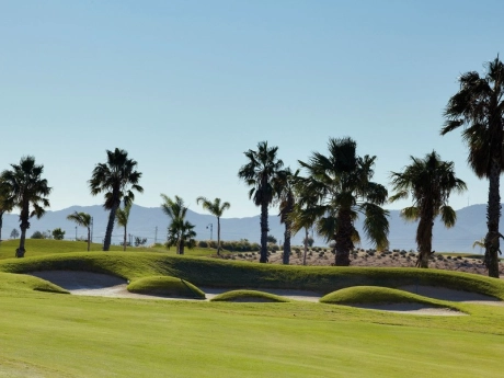 o_1jjefjj69p2vq5phqh1m6r1ril2a thumbnail