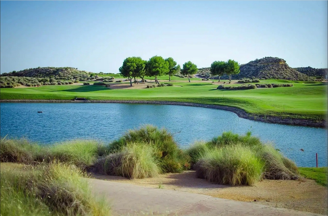 o_1jkv1vq0a591fdq14v312mb1bh147 photo