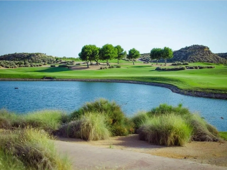 o_1jkv1vq0a591fdq14v312mb1bh147 thumbnail