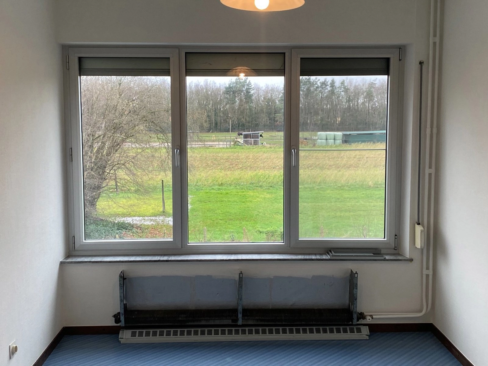 7a1fc69031f341de9d1788978f799f56 photo