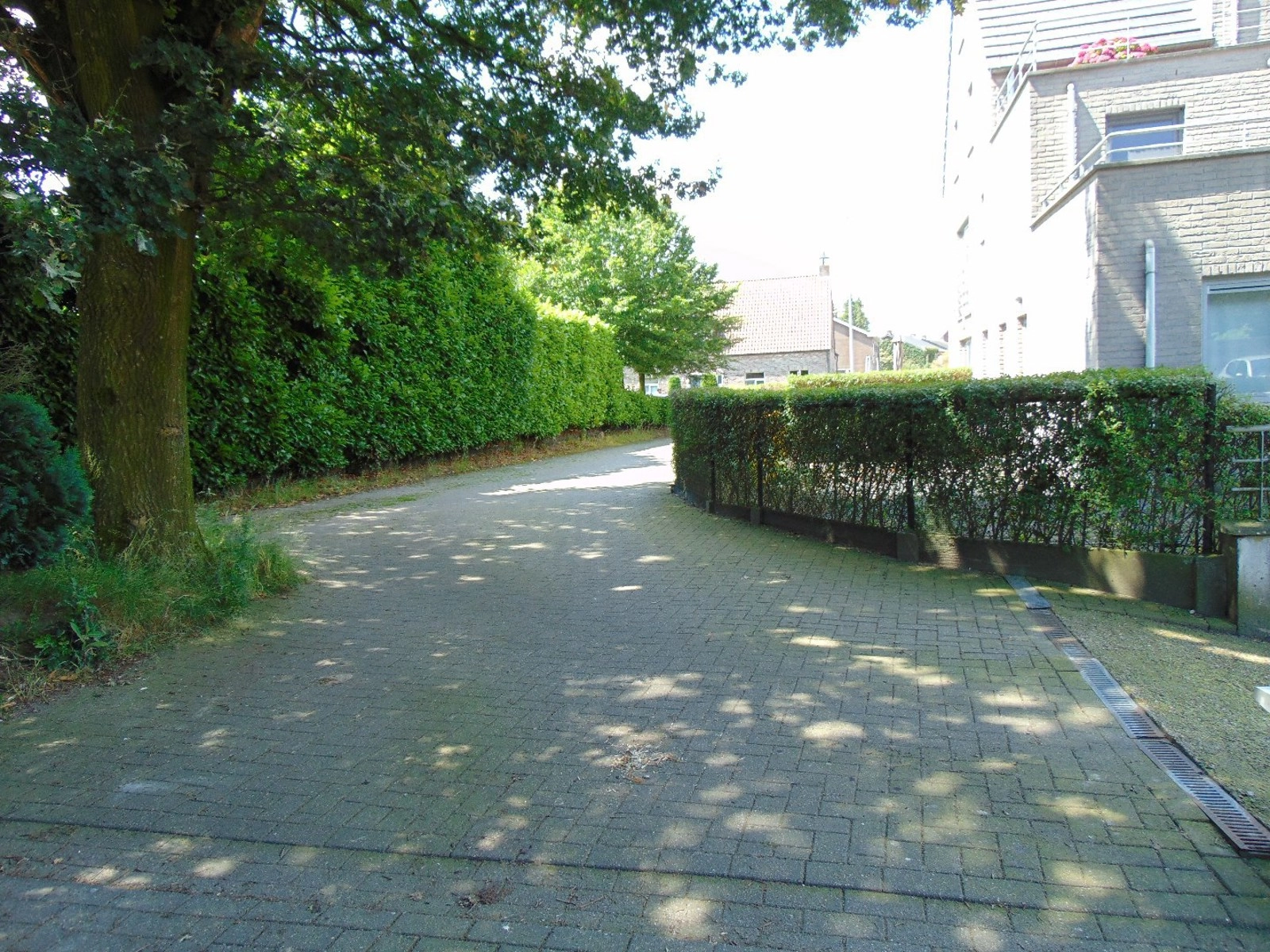 0855c539e13b4ace9cba60e518263c5a photo