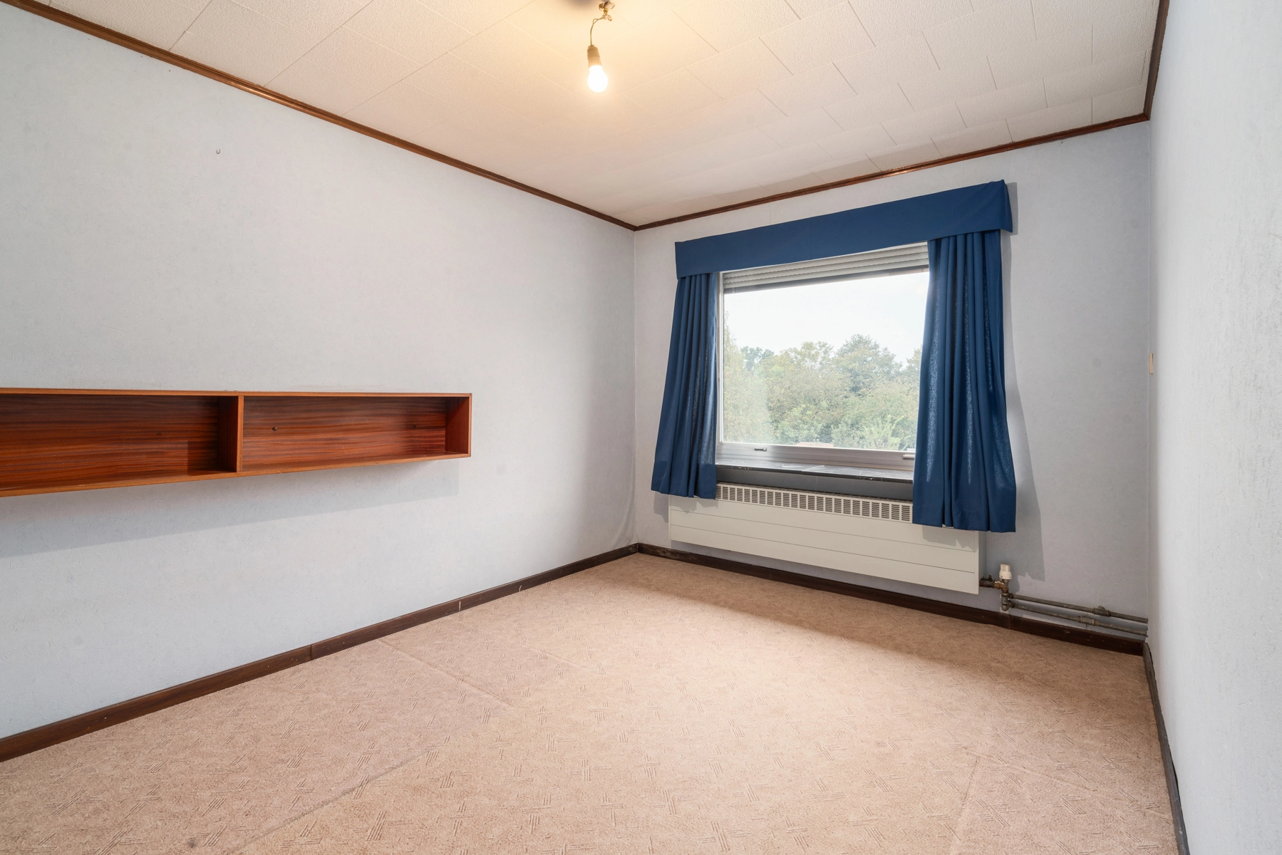 e53f4738097846e88f8f56ccddccbc6c photo