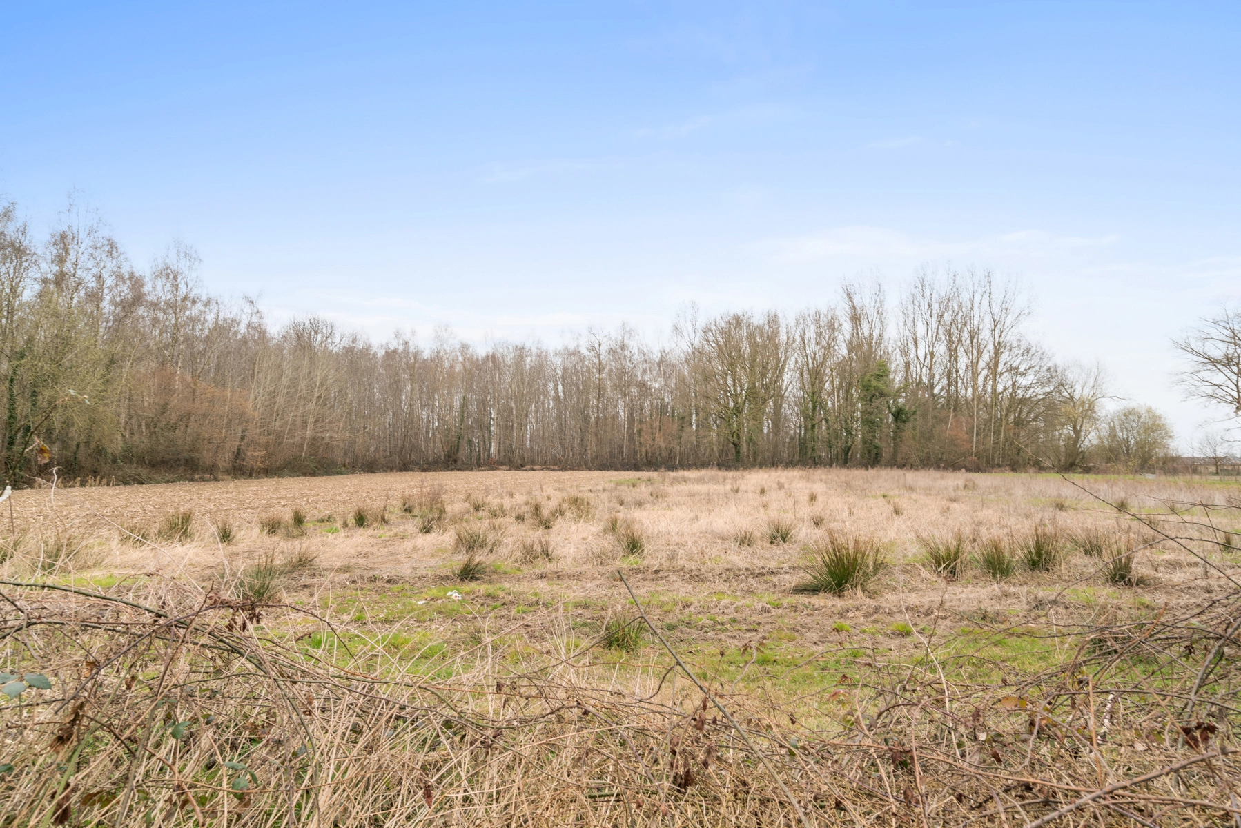 48aca8ec500845d0ae5ff8cc27155fff photo