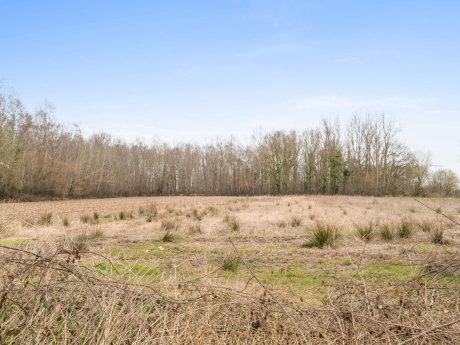 48aca8ec500845d0ae5ff8cc27155fff thumbnail