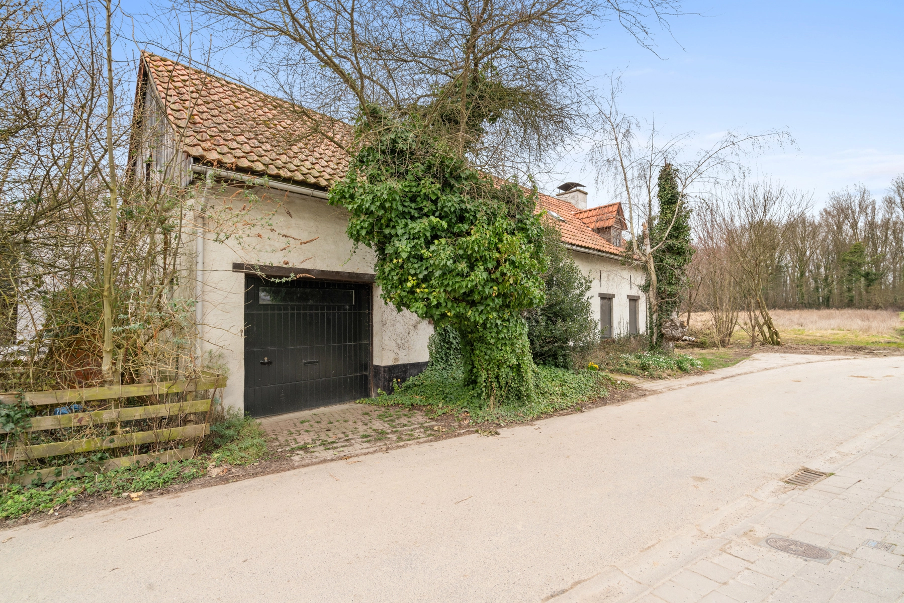 afccd69835c84cf9aa26d02f2066662c photo