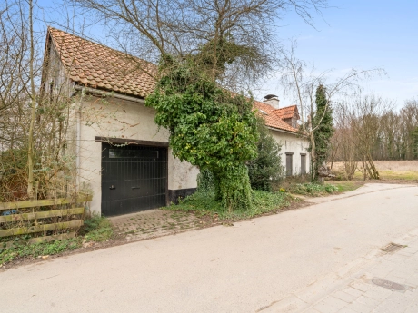 afccd69835c84cf9aa26d02f2066662c thumbnail