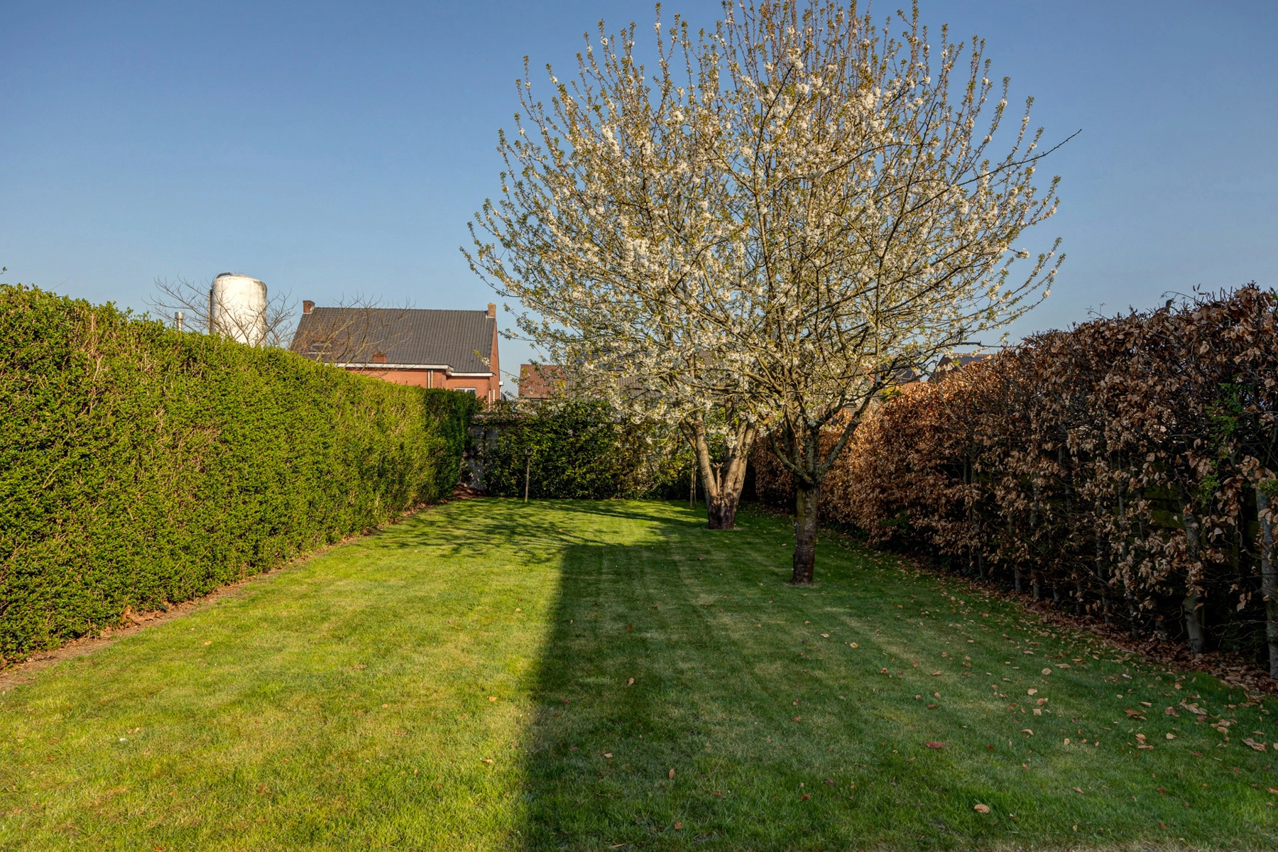 723e9397afe3458ab066240c742b5777 photo