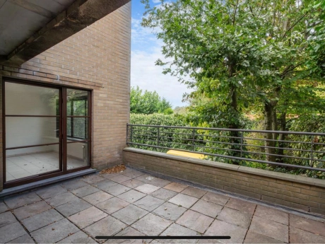 3ad16d983d0d4b0d8272d879cc32089b thumbnail