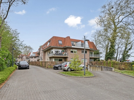 12b1b24e4b4643799d7c36dad7222b8d thumbnail