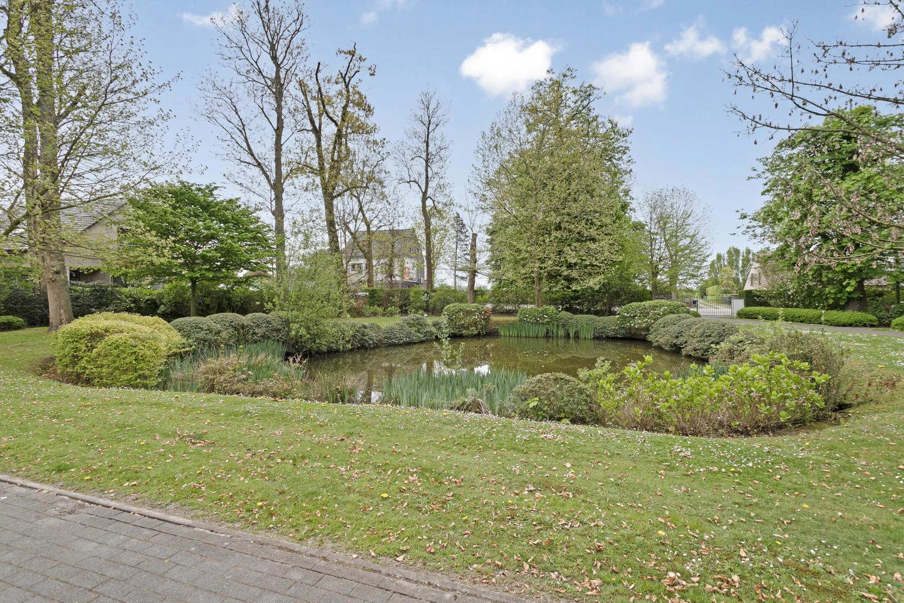 df51bdcae06a43f18982af149356acf7 photo