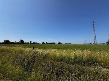 d665460d63924a14a4d6ce5eb53a7e4f thumbnail