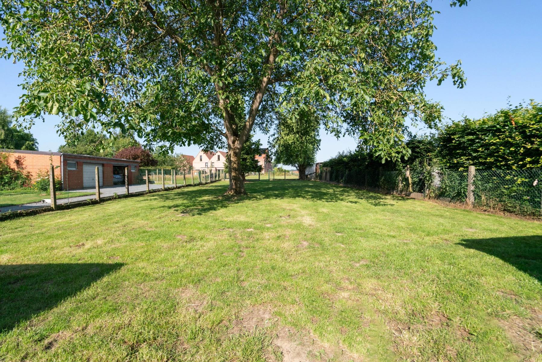 fbab6b18fc864842bcdf254a85b23afd photo