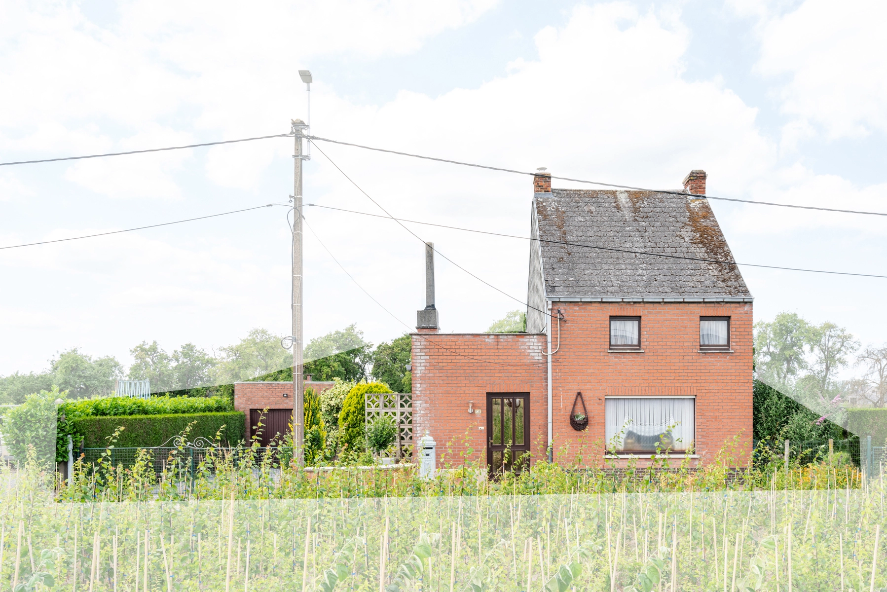 01909d3d618546fea9907fc4bd848b64 photo