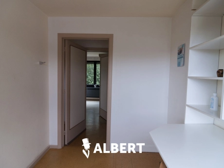 8218fb2502154a5a81f1f6591fc3c454 thumbnail