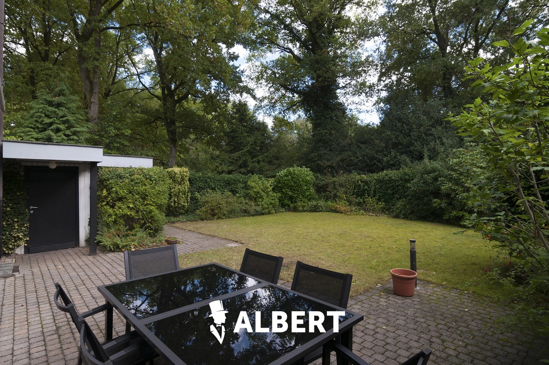 a37cc12f9a92419388a782e75ac29454 photo