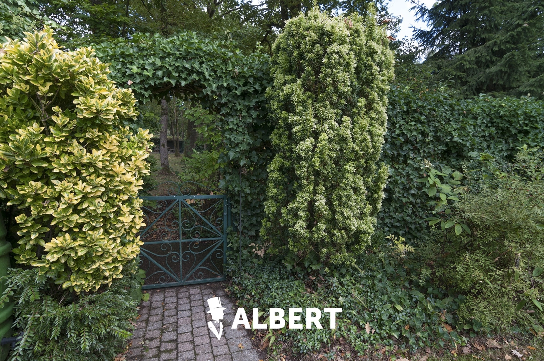 ba6b02d56fcc400ab24dc9be611afa6a photo