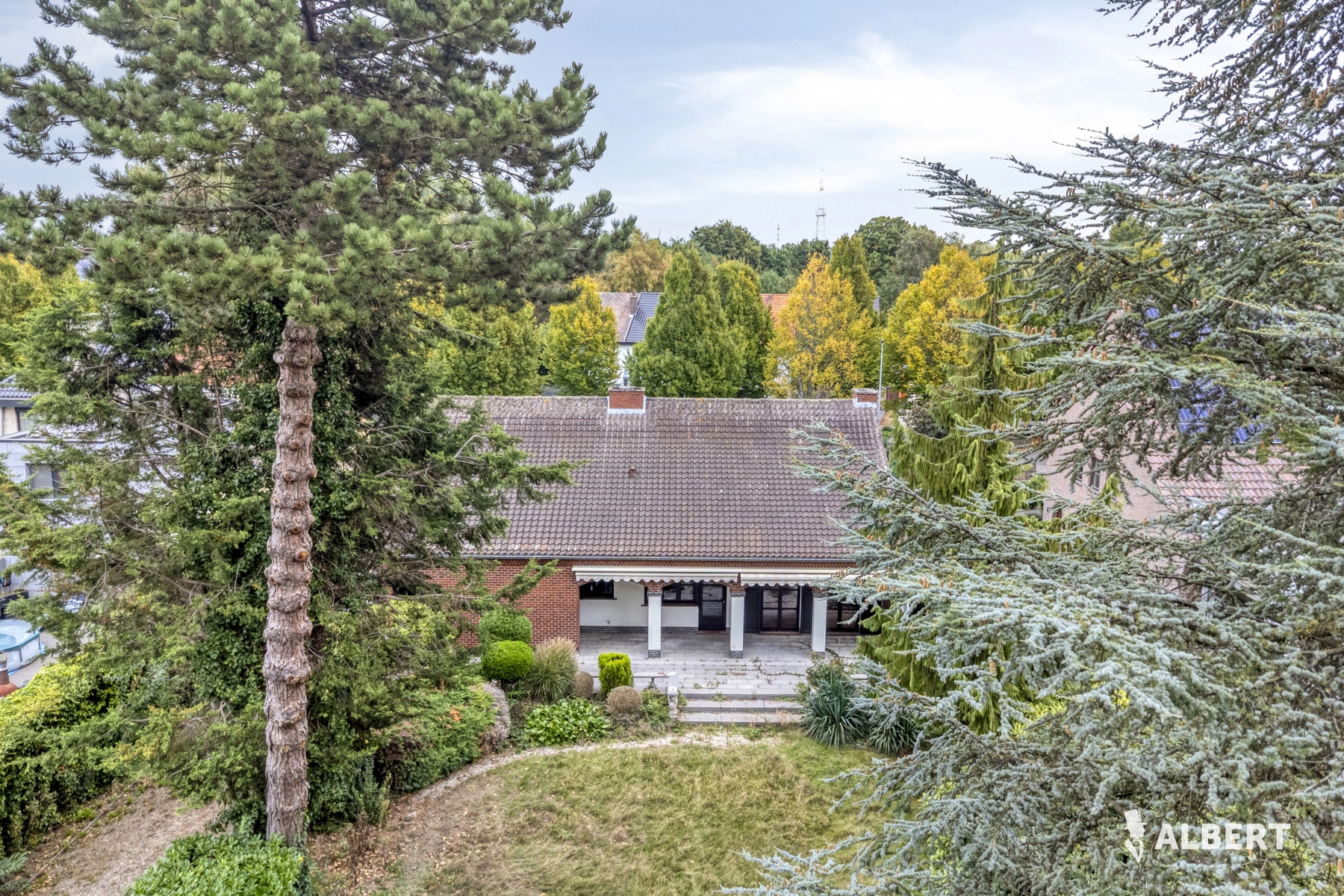 1363395f52f04c078fe745c4d6b19d62 photo