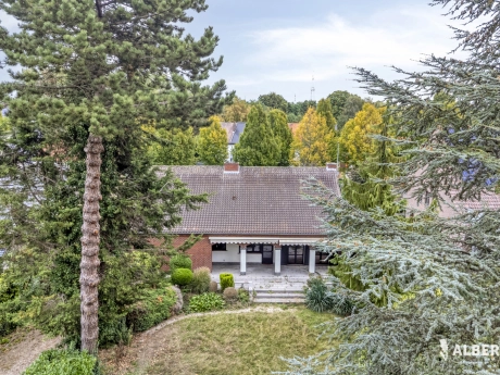 1363395f52f04c078fe745c4d6b19d62 thumbnail