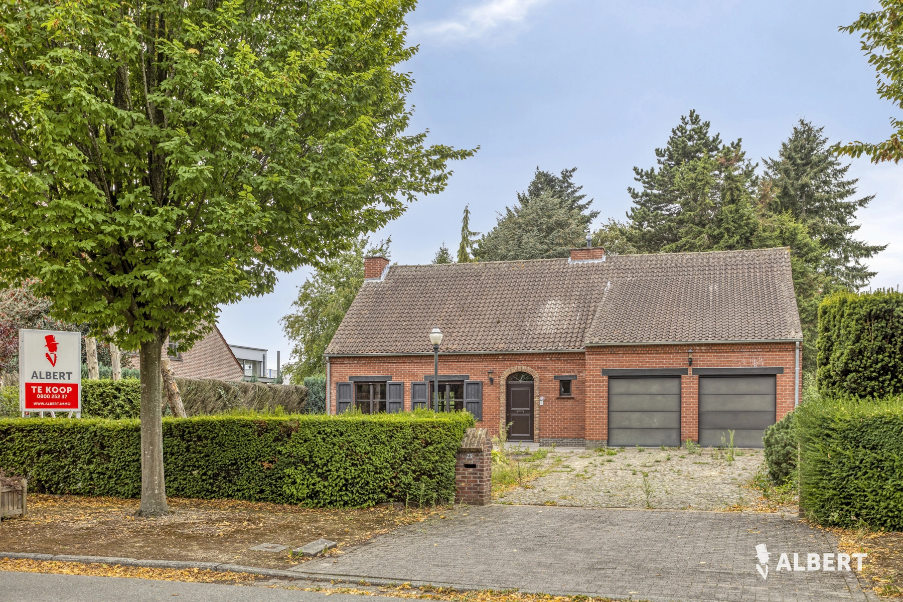 4e8f908e29144de1825d6d87553e1a4c photo