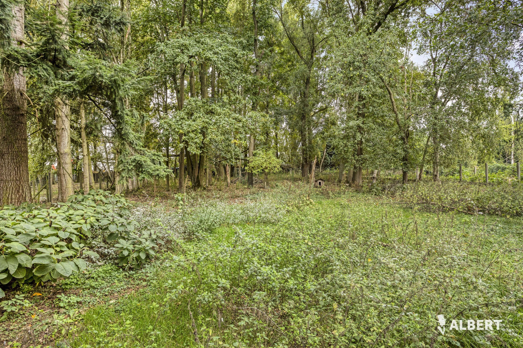 fba1137542e049e0bd5a64f312f69023 photo