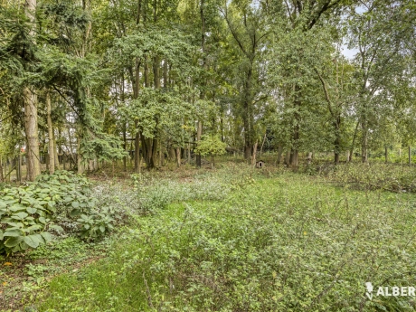 fba1137542e049e0bd5a64f312f69023 thumbnail