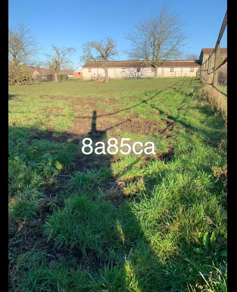 3426abafd2694ae38b345da8ae3f7d7f photo